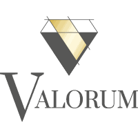 Logo du site web 2